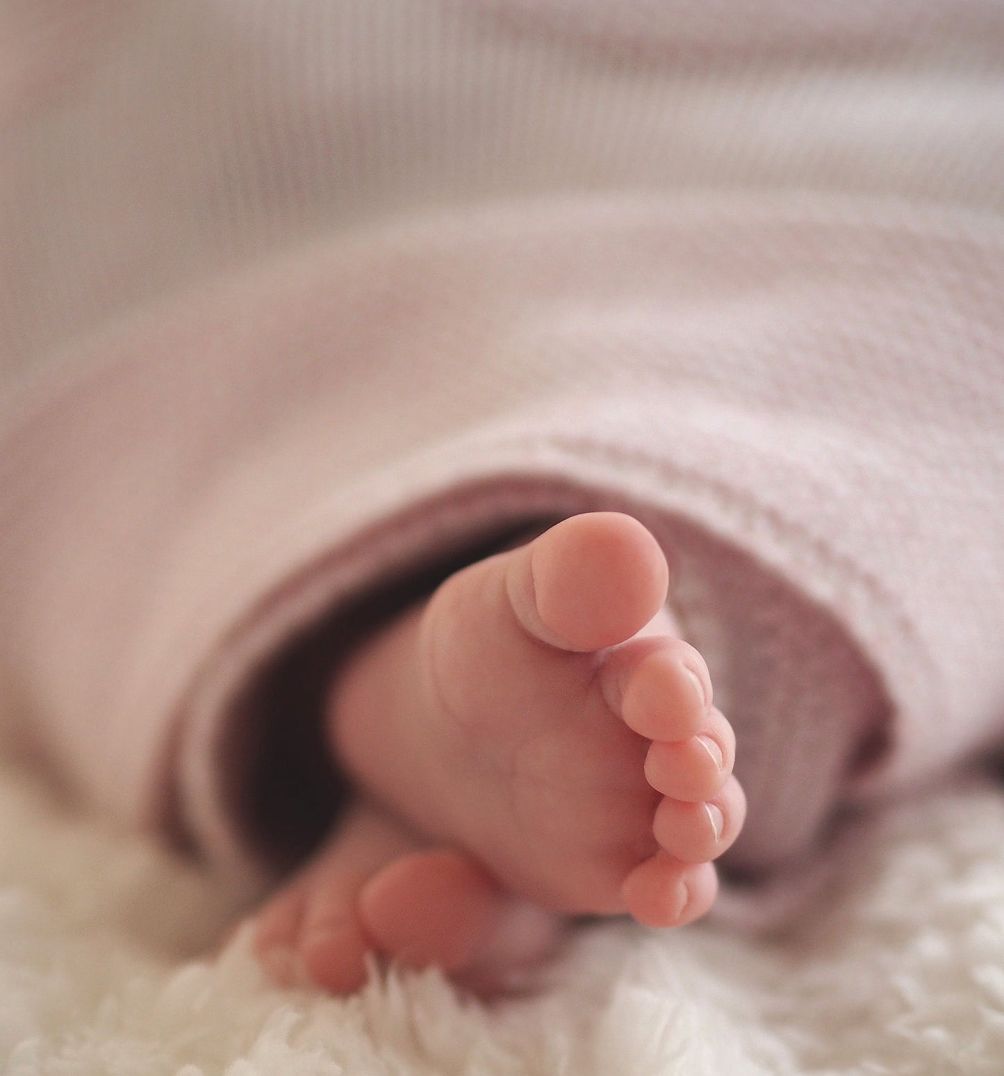 Coffret cadeau de serviettes de bain gaufrées à capuche pour bébé, enfant, enfants - Cadeau idéal pour une baby shower et de nouveaux parents - Essentiels pour le bain douillet dans un coffret cadeau