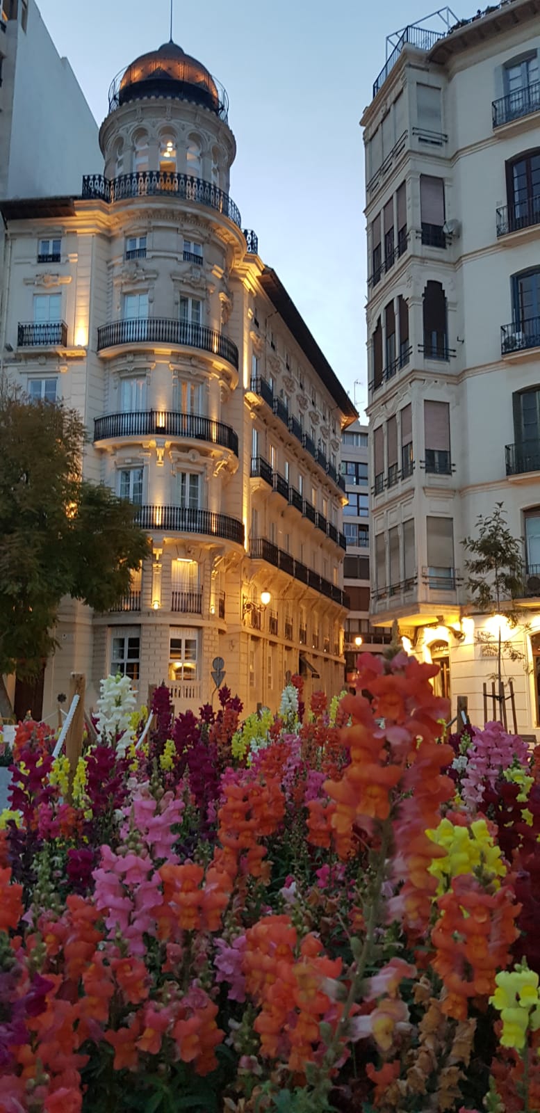Alicante, Spain 🇪🇸 Google Maps Guide – Hidden Gems, Food & Must-See Spots