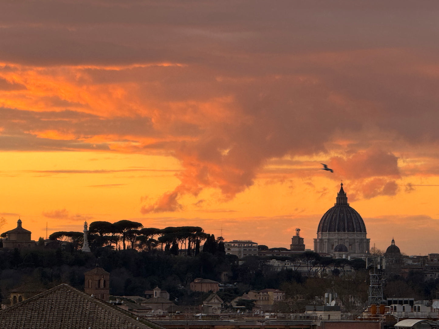 Rome, Italy 🇮🇹 Google Maps Guide – Hidden Gems, Food & Must-See Spots