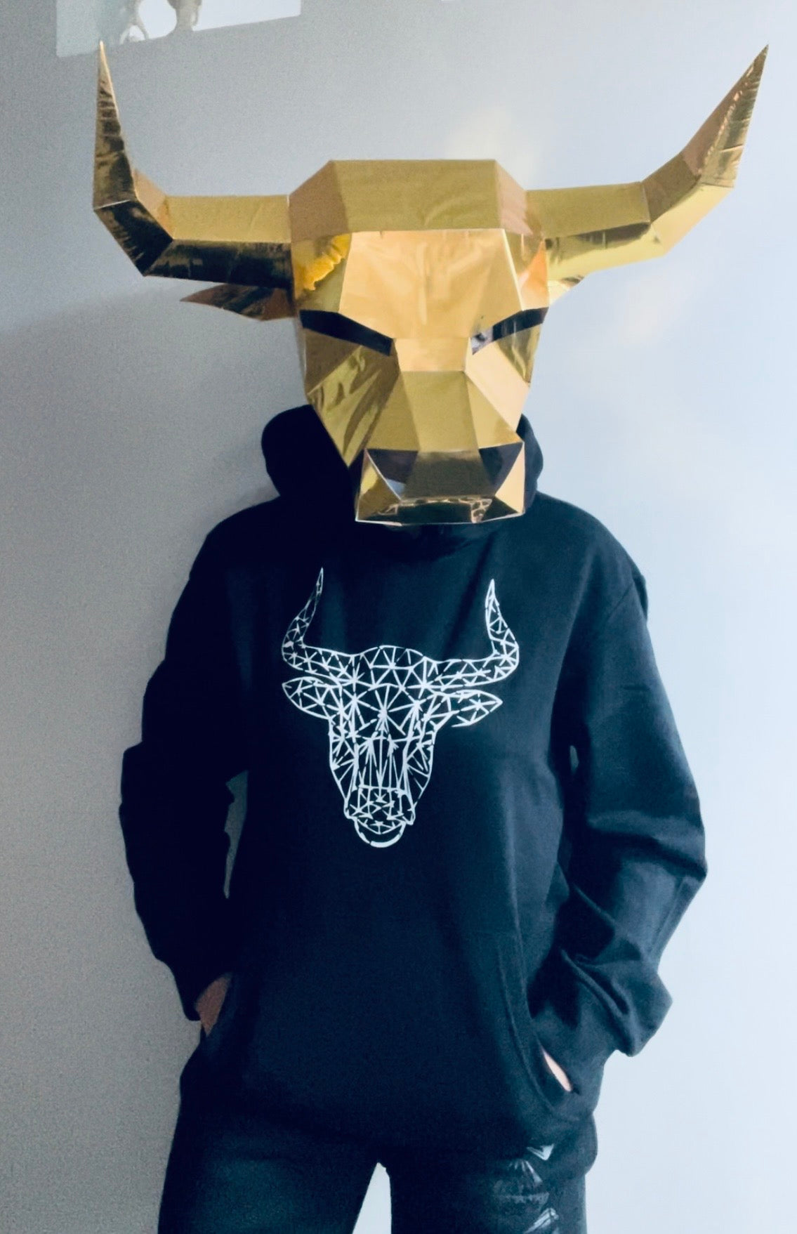 Taurus Bull Mynotaur Camiseta l Sudadera con capucha l Sudadera