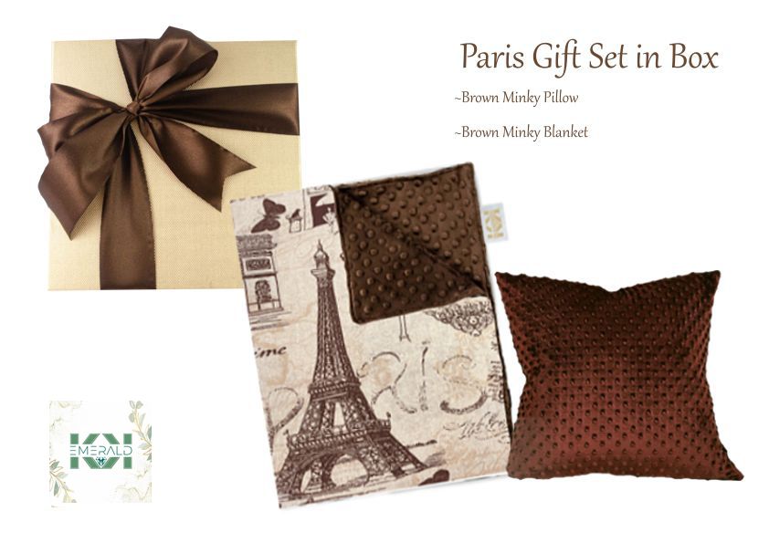 Coffret cadeau Couverture Paris avec oreiller assorti, taille bébé I enfant I tout-petit I ado I adulte Couverture Minky beige ou marron cadeau dans une boîte